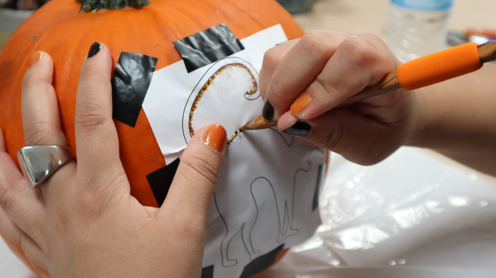 NEW!! DiamondGore Set 2025