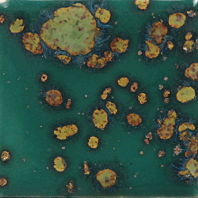 Mayco Glaze CG-780 Jungle Gems Mystic Jade (16 fl oz