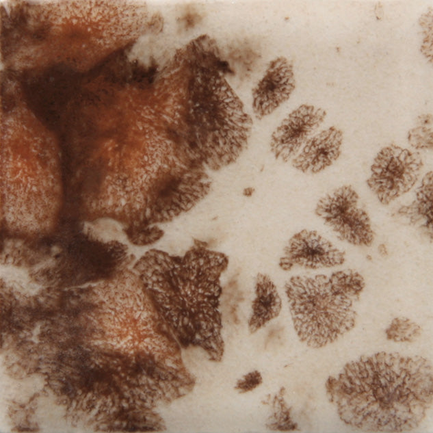 Mayco Glaze CG-795 Jungle Gems Yadro Print (16 fl oz