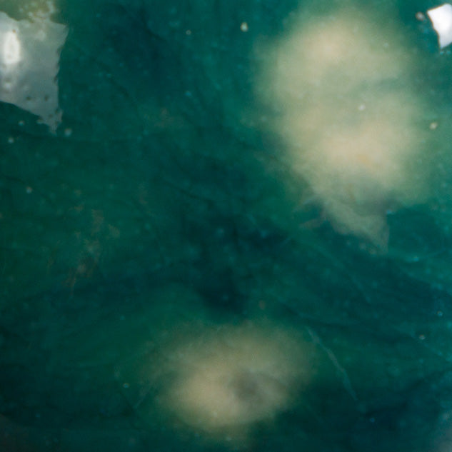 Mayco Glaze CG-974 Jungle Gems Bloomin' Blue (16 fl oz)