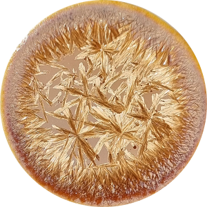 Chrysanthos Glaze SN111 Supernova Proxima Centauri