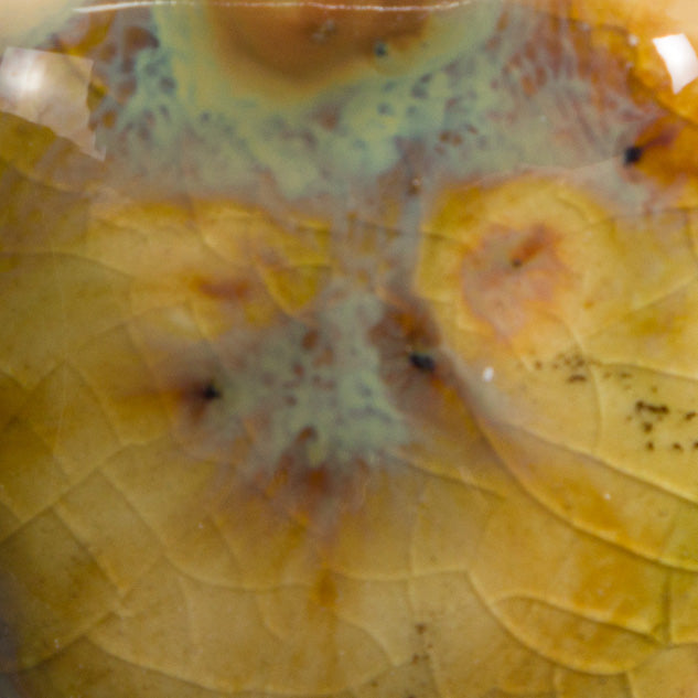 Mayco Glaze S-2709 Jungle Gems Cappuccino Mint (16 fl oz